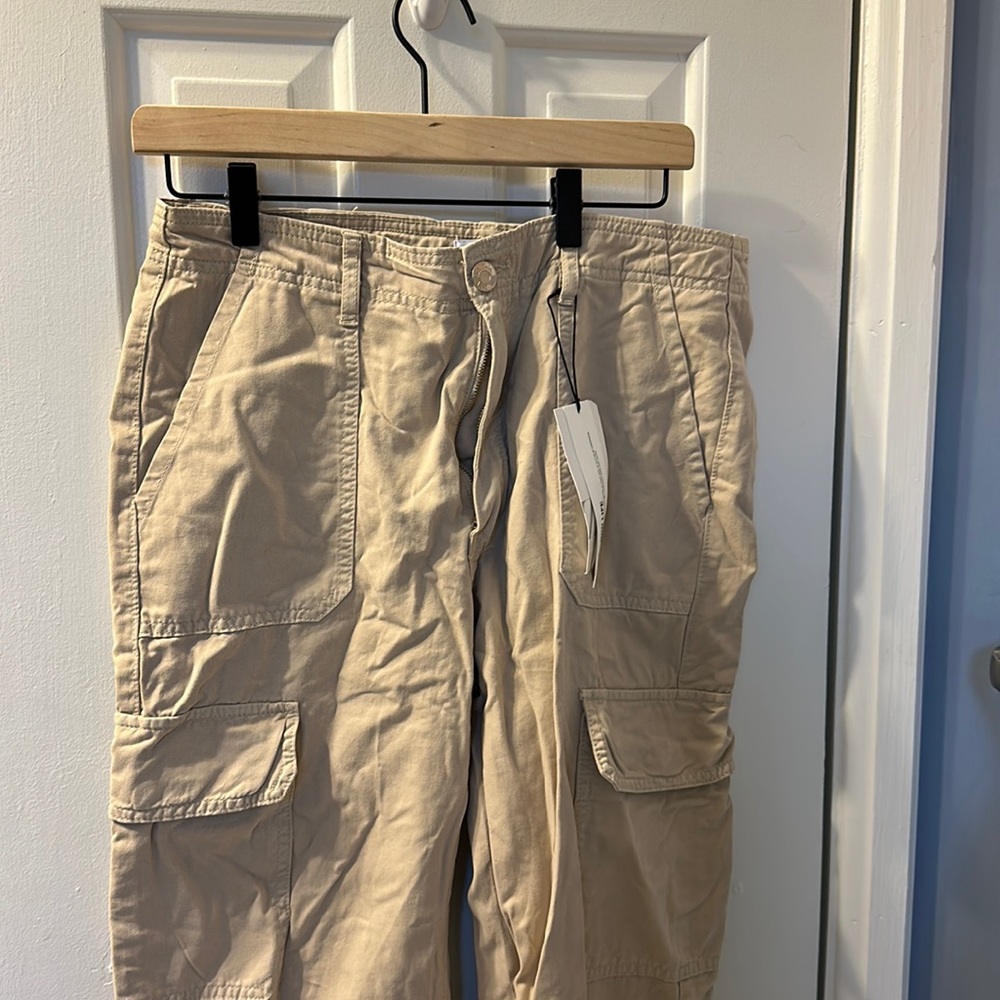 Tan Zara cargo pants NWT